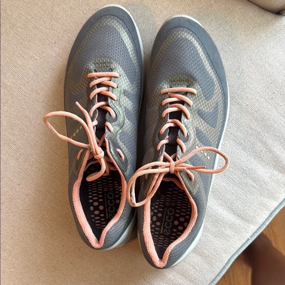Ecco step into